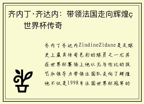齐内丁·齐达内：带领法国走向辉煌的世界杯传奇